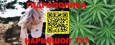 прущие крисы Усть-Джегута